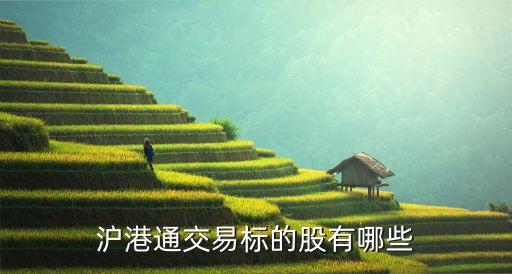 上?？菩窆善?上海建科股票發(fā)行價是多少