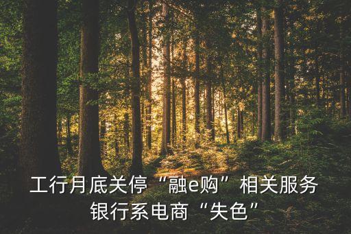  工行月底關停“融e購”相關服務 銀行系電商“失色”