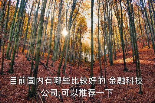 目前國(guó)內(nèi)有哪些比較好的 金融科技 公司,可以推薦一下
