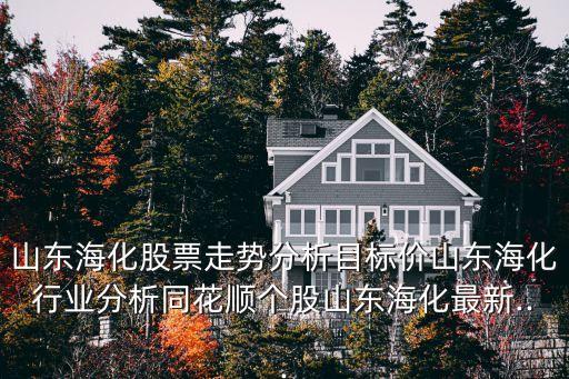 山東海化股票走勢分析目標(biāo)價山東?；袠I(yè)分析同花順個股山東?；钚?..