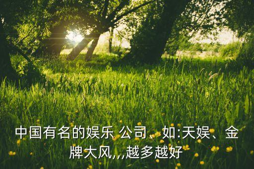 中國有名的娛樂 公司、如:天娛、金牌大風(fēng),,,越多越好