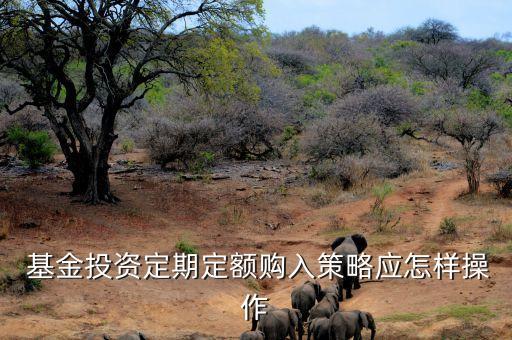  基金投資定期定額購(gòu)入策略應(yīng)怎樣操作