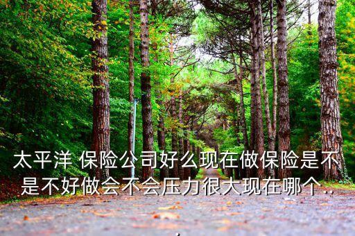 太平洋 保險(xiǎn)公司好么現(xiàn)在做保險(xiǎn)是不是不好做會不會壓力很大現(xiàn)在哪個(gè)...