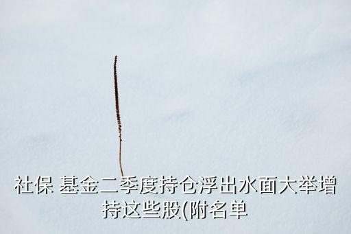 社保 基金二季度持倉(cāng)浮出水面大舉增持這些股(附名單
