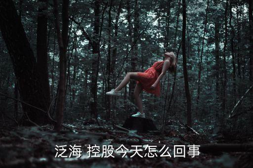 泛?？毓晒善?000046泛海控股股票