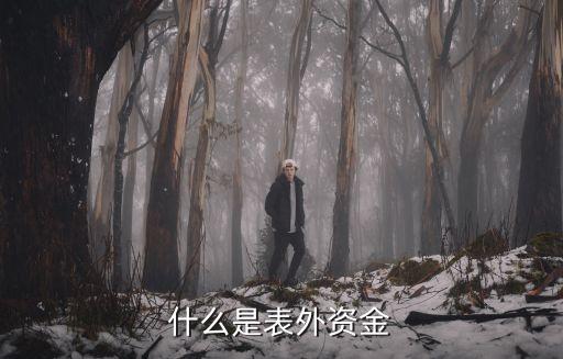 銀行資產(chǎn)表內(nèi)轉表外,銀行表內(nèi)資產(chǎn)包括