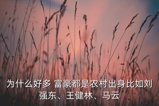 為什么好多 富豪都是農(nóng)村出身比如劉強(qiáng)東、王健林、馬云