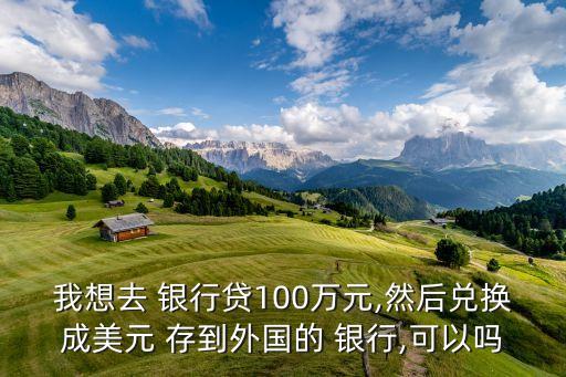 我想去 銀行貸100萬(wàn)元,然后兌換成美元 存到外國(guó)的 銀行,可以嗎