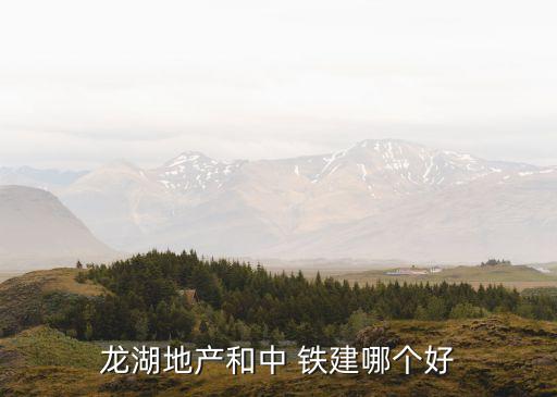 龍湖地產(chǎn)和中 鐵建哪個(gè)好