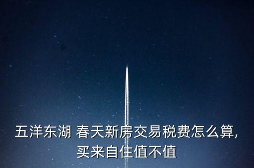五洋東湖 春天新房交易稅費怎么算,買來自住值不值