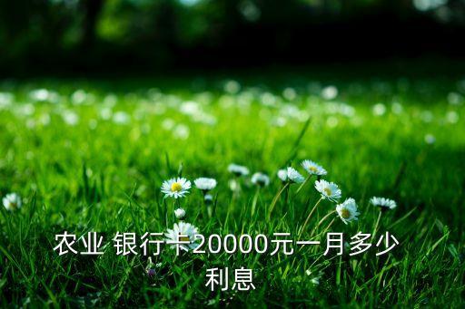 銀行卡里存2萬塊錢有多少利息