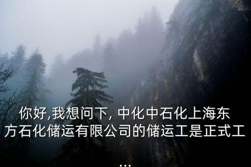 你好,我想問(wèn)下, 中化中石化上海東方石化儲(chǔ)運(yùn)有限公司的儲(chǔ)運(yùn)工是正式工...
