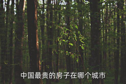 中國最貴的房子在哪個城市