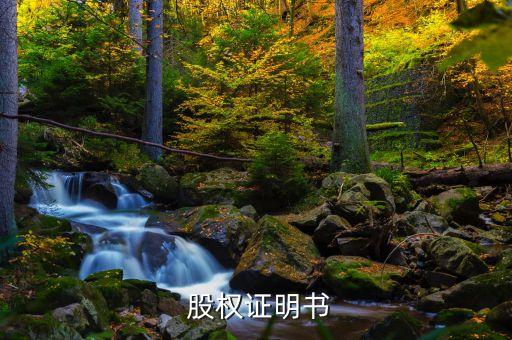 上市公司員工股權(quán)激勵協(xié)議,員工在職股權(quán)激勵協(xié)議