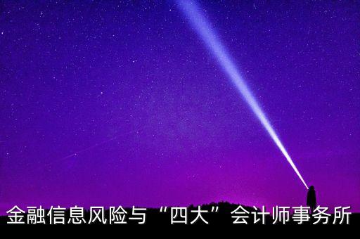 金融信息風(fēng)險(xiǎn)與“四大”會計(jì)師事務(wù)所