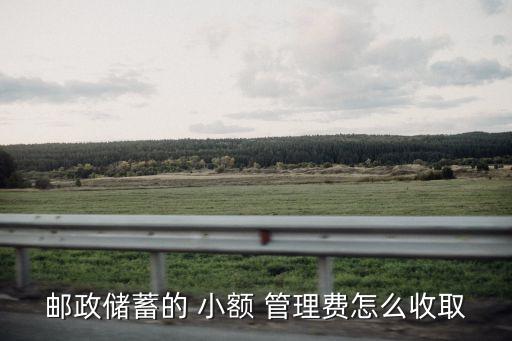 銀行的小額管理費,銀行小額管理費收費標(biāo)準(zhǔn)2023