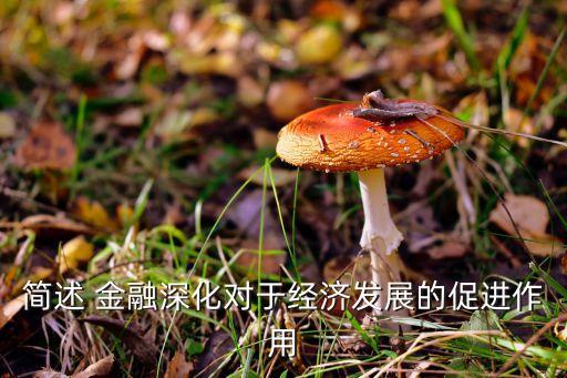 簡述 金融深化對于經(jīng)濟發(fā)展的促進(jìn)作用