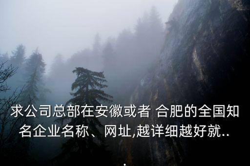 求公司總部在安徽或者 合肥的全國(guó)知名企業(yè)名稱、網(wǎng)址,越詳細(xì)越好就...
