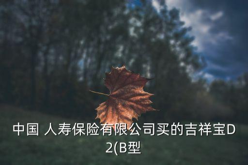 中國(guó) 人壽保險(xiǎn)有限公司買(mǎi)的吉祥寶D2(B型