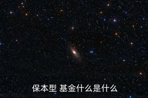  保本型 基金什么是什么