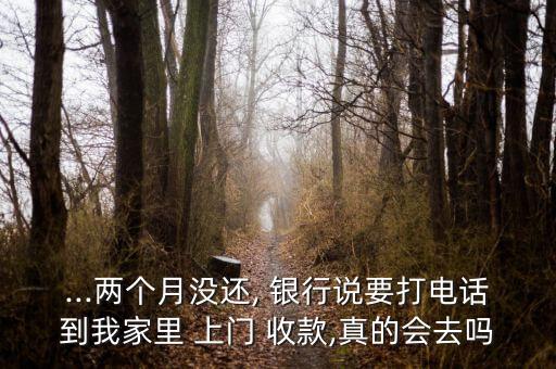 ...兩個(gè)月沒(méi)還, 銀行說(shuō)要打電話到我家里 上門(mén) 收款,真的會(huì)去嗎