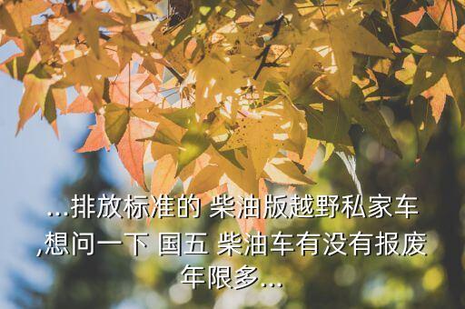 ...排放標(biāo)準(zhǔn)的 柴油版越野私家車,想問一下 國(guó)五 柴油車有沒有報(bào)廢年限多...