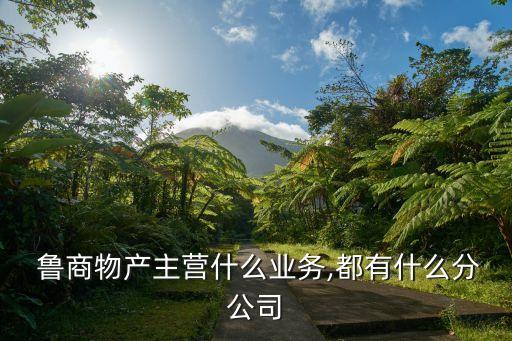  魯商物產(chǎn)主營(yíng)什么業(yè)務(wù),都有什么分公司