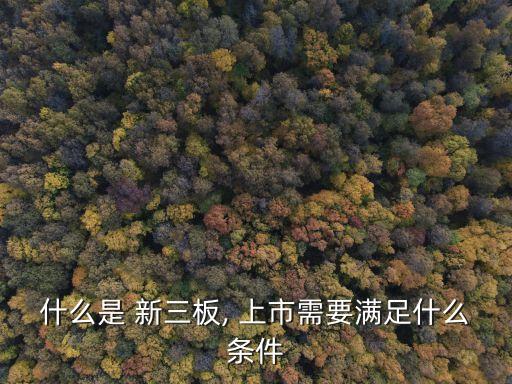 什么是 新三板, 上市需要滿足什么條件