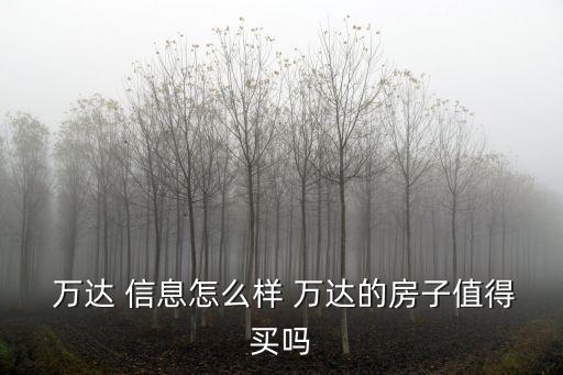  萬(wàn)達(dá) 信息怎么樣 萬(wàn)達(dá)的房子值得買嗎