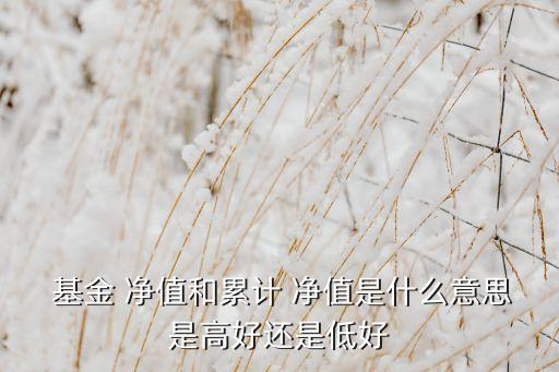  基金 凈值和累計 凈值是什么意思是高好還是低好