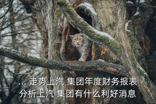 ... 走勢上汽 集團(tuán)年度財務(wù)報表分析上汽 集團(tuán)有什么利好消息