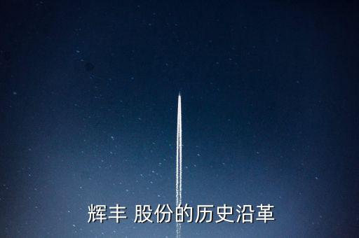 輝豐股份有限公司