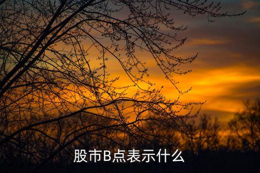 股票的b點(diǎn),股票3000點(diǎn)在哪看