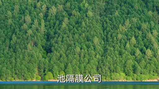 鋰電池隔膜公司