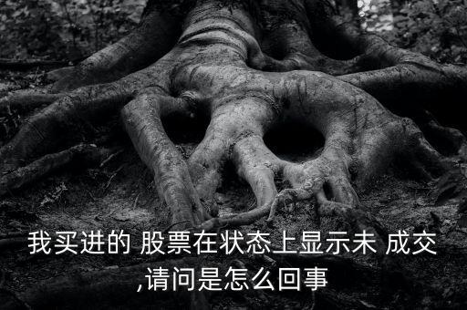 我買(mǎi)進(jìn)的 股票在狀態(tài)上顯示未 成交,請(qǐng)問(wèn)是怎么回事