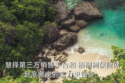 慧擇第三方銷售平臺(tái)和 梧桐樹(shù)保險(xiǎn)網(wǎng)到底哪家的實(shí)力更強(qiáng)些...