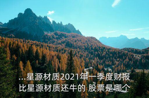 ...星源材質2021年一季度財報比星源材質還牛的 股票是哪個