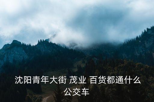  沈陽(yáng)青年大街 茂業(yè) 百貨都通什么公交車