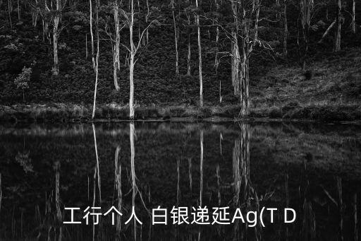 工行個人 白銀遞延Ag(T D