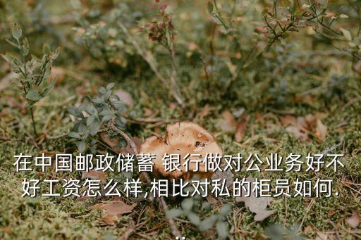在中國郵政儲(chǔ)蓄 銀行做對(duì)公業(yè)務(wù)好不好工資怎么樣,相比對(duì)私的柜員如何...