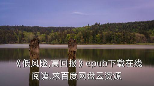 《低風(fēng)險(xiǎn),高回報(bào)》epub下載在線(xiàn)閱讀,求百度網(wǎng)盤(pán)云資源