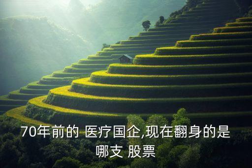 轉(zhuǎn)型醫(yī)療股票,數(shù)字化轉(zhuǎn)型的股票有哪些