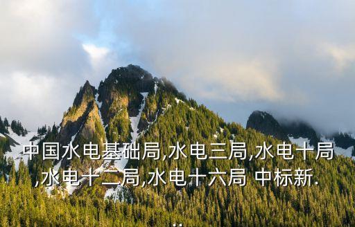 中國水電基礎局,水電三局,水電十局,水電十二局,水電十六局 中標新...