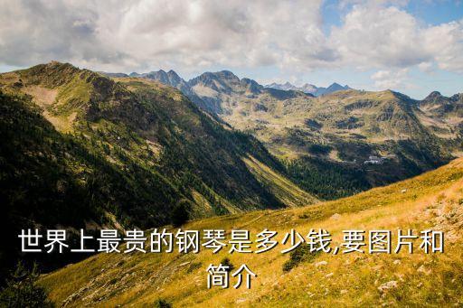 世界上最貴的鋼琴是多少錢(qián),要圖片和簡(jiǎn)介
