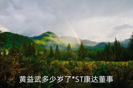 黃益武多少歲了*ST康達董事