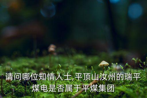 請(qǐng)問(wèn)哪位知情人士,平頂山汝州的瑞平煤電是否屬于平煤集團(tuán)