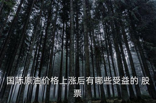 國際原油價格上漲后有哪些受益的 股票