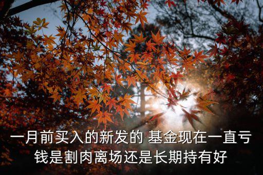 一月前買(mǎi)入的新發(fā)的 基金現(xiàn)在一直虧錢(qián)是割肉離場(chǎng)還是長(zhǎng)期持有好