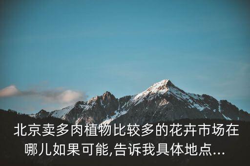  北京賣多肉植物比較多的花卉市場在哪兒如果可能,告訴我具體地點(diǎn)...