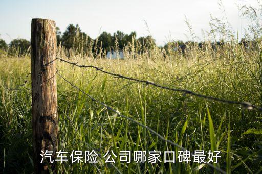 汽車保險 公司哪家口碑最好
